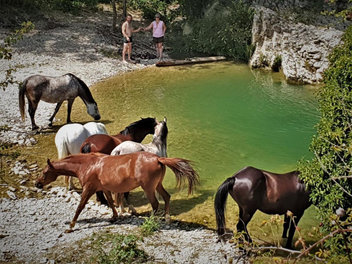 Villa Ferme Equestre Les Coccinelles à Lurs Extérieur photo
